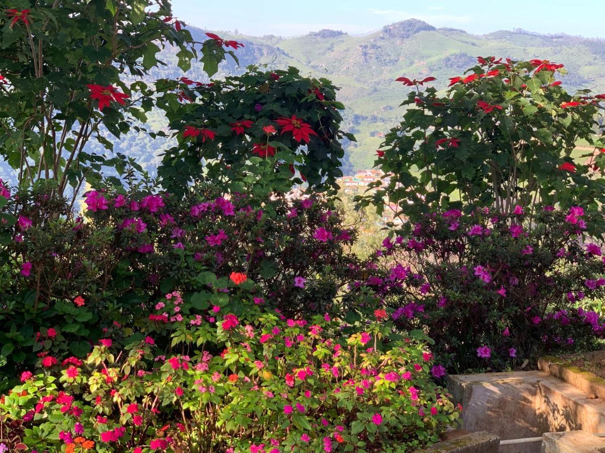 Bed and Breakfast Camellia Heights 1&2 Coonoor Exterior foto